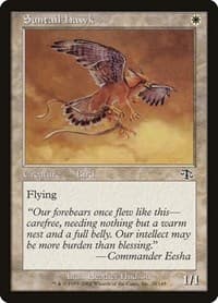Suntail Hawk - Judgment - Magic: The Gathering card