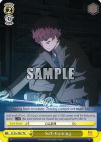 Self-training (TD) - Fate/stay night [Unlimited Blade Works] - Weiss Schwarz card