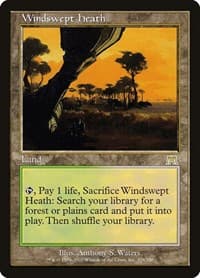 Windswept Heath - Onslaught - Magic: The Gathering card