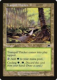 Tranquil Thicket - Onslaught - Magic: The Gathering card