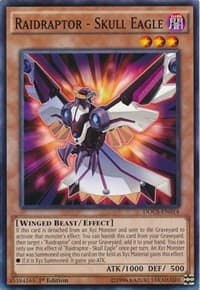 Raidraptor - Skull Eagle - Dimension of Chaos - YuGiOh card