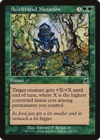 Accelerated Mutation - Scourge - Magic: The Gathering card