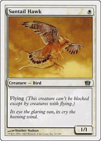 Suntail Hawk - 8th Edition - Magic: The Gathering card