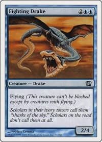 Fighting Drake - 8th Edition - Magic: The Gathering card