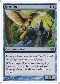 Sage Owl - 8th Edition - Magic: The Gathering card