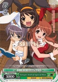 Bunnygirl, Haruhi & Nagato & Mikuru - The Melancholy of Haruhi Suzumiya - Weiss Schwarz card