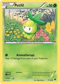 Petilil - XY - BREAKpoint - Pokemon card