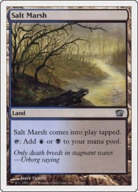 Salt Marsh - 8th Edition - Magic: The Gathering card