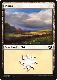 Plains (040) - Duel Decks: Blessed vs. Cursed - Magic: The Gathering card