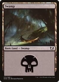 Swamp (075) - Duel Decks: Blessed vs. Cursed - Magic: The Gathering card