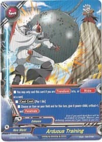 Arduous Training - Shadow VS Hero - Future Card BuddyFight card