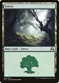 Forest (295) - Shadows over Innistrad - Magic: The Gathering card
