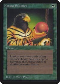 Natural Selection - Alpha Edition - Magic: The Gathering card