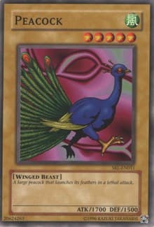 Peacock - Spell Ruler - YuGiOh card