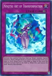 Ninjitsu Art of Transformation - OTS Tournament Pack 2 - YuGiOh card