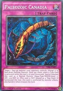 Paleozoic Canadia - The Dark Illusion - YuGiOh card