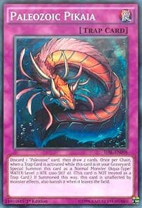 Paleozoic Pikaia - The Dark Illusion - YuGiOh card