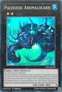 Paleozoic Anomalocaris - The Dark Illusion - YuGiOh card