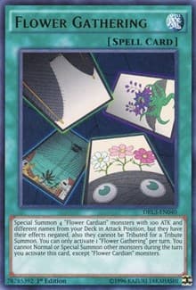 Flower Gathering - Dragons of Legend: Unleashed - YuGiOh card