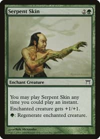 Serpent Skin - Champions of Kamigawa - Magic: The Gathering card