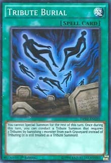 Tribute Burial - Duelist Pack: Rivals of the Pharaoh - YuGiOh card