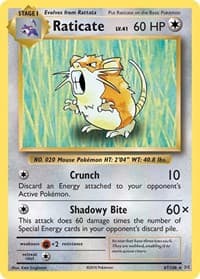 Raticate - XY - Evolutions - Pokemon card