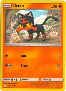 Litten - 24/149 (Water Web Holo) - Miscellaneous Cards & Products - Pokemon card