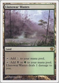Llanowar Wastes - 9th Edition - Magic: The Gathering card