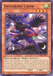 Shinobird Crow - Raging Tempest - YuGiOh card