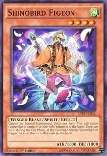 Shinobird Pigeon - Raging Tempest - YuGiOh card