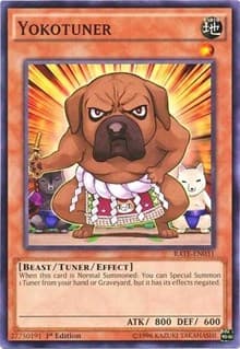 Yokotuner - Raging Tempest - YuGiOh card