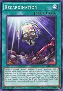 Recardination - Raging Tempest - YuGiOh card
