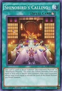 Shinobird's Calling - Raging Tempest - YuGiOh card