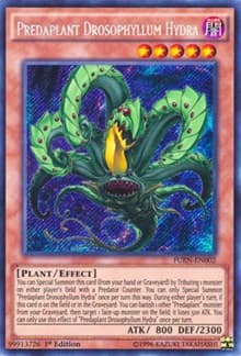 Predaplant Drosophyllum Hydra - Fusion Enforcers - YuGiOh card
