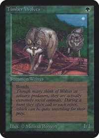 Timber Wolves - Alpha Edition - Magic: The Gathering card