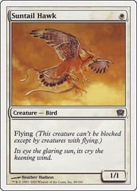 Suntail Hawk - 9th Edition - Magic: The Gathering card
