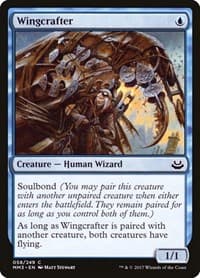 Wingcrafter - Modern Masters 2017 - Magic: The Gathering card