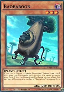 Baobaboon - Raging Tempest - YuGiOh card