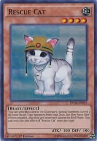 Rescue Cat - Duelist Saga - YuGiOh card