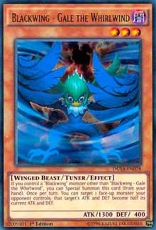 Blackwing - Gale the Whirlwind - Duelist Saga - YuGiOh card