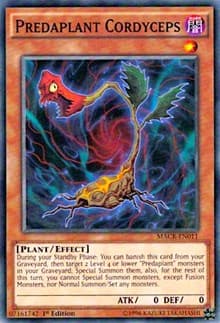 Predaplant Cordyceps - Maximum Crisis - YuGiOh card