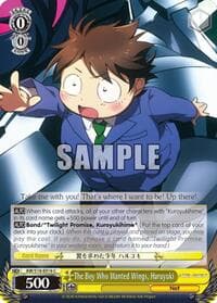 The Boy Who Wanted Wings, Haruyuki - Accel World - Weiss Schwarz card