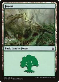 Forest (316) - Commander Anthology - Magic: The Gathering card