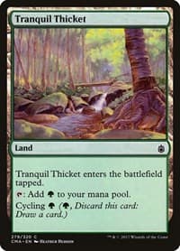 Tranquil Thicket - Commander Anthology - Magic: The Gathering card