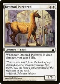 Dromad Purebred - Ravnica: City of Guilds - Magic: The Gathering card