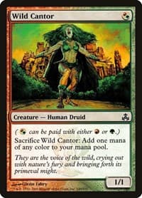 Wild Cantor - Guildpact - Magic: The Gathering card