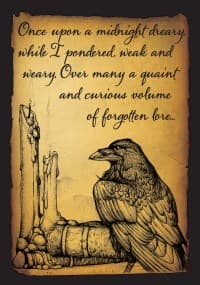Double Matte Art Sleeve - Raven (50-Pack) - Legion Premium Supplies Card Sleeves - Card Sleeves card