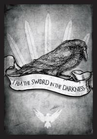 Double Matte Art Sleeve - Sword in Darkness (50-Pack) - Legion Premium Supplies Card Sleeves - Card Sleeves card