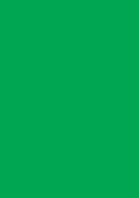 Double Matte Sleeve - Green (50-Pack) - Legion Premium Supplies Card Sleeves - Card Sleeves card