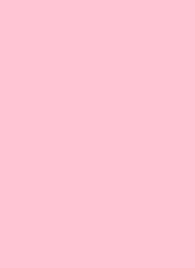 Double Matte Small Sleeve - Pink (60-Pack) - Legion Premium Supplies Card Sleeves - Card Sleeves card